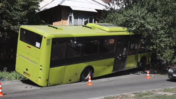 Autobus Volò Fuori Strada Schiantò Contro Albero Parabrezza Rotto Gravi — Video Stock