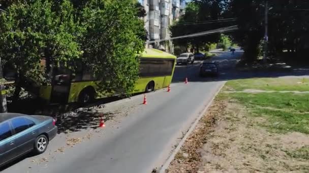 公共汽车飞出了马路 撞到了一棵树上 坏了的挡风玻璃道路上严重的交通事故 Dnipro Ukraine June 2021 — 图库视频影像