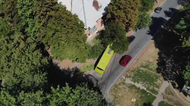 公共汽车飞出了马路 撞到了一棵树上 坏了的挡风玻璃道路上严重的交通事故 Dnipro Ukraine June 2021 — 图库视频影像