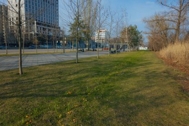 Çiçek açan bahar arkaplanı. Çiçek açan bir tarla, parlak renkli bir grup çiçek. Güneşli bir bahar gününde Crocus çiçeği. Makro. Duvar Kağıdı.