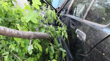 Araba kontrolünü kaybetti ve yoldan çıktı. Transformatör kabiniyle kafa kafaya çarpışma. Ciddi bir kaza..