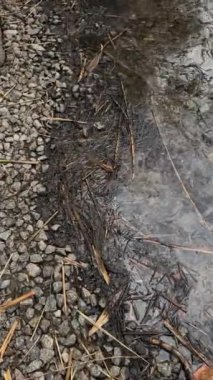 Benzin ya da yağ lekesi, su kirliliği. Endüstriyel petrol lekesi su kirliliği döker. Ekolojik felaket. Yağ film kirliliği. Petrol ve benzinle su kirliliği