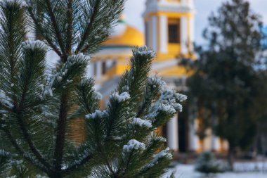 Winter Park 'ta. Şehirde dolaşıyordum. Ukrayna 'da kış manzarası. Şehir parkında beyaz kar. Soğuk hava, mevsim. Şehir caddesinde karla kaplı bir yer. Dinyester şehri