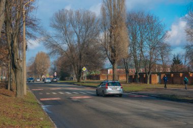 Hızlı giden arabaları yavaşlatmak için yolda hız tümseği. Kauçuk Berlin hız yastığı. Kırmızı yapay polis memurları. Yoldaki hızı azalt. Yol güvenliği