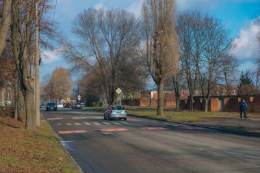Hızlı giden arabaları yavaşlatmak için yolda hız tümseği. Kauçuk Berlin hız yastığı. Kırmızı yapay polis memurları. Yoldaki hızı azalt. Yol güvenliği
