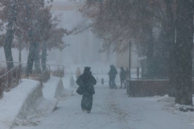 Winter Park 'ta. Şiddetli kar yağışı sırasında şehirde dolaşmak. Ukrayna 'da kış manzarası. Şehir parkında beyaz kar. Soğuk hava, yılın bu zamanı. Şehir caddesinde karla kaplı bir yer. Dinyester şehri