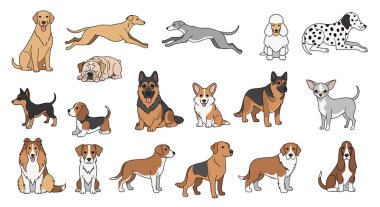 Eşsiz Özellikler ve Sıcaklıklar Açığa Çıkaran Farklı Köpeklerin Dünyası