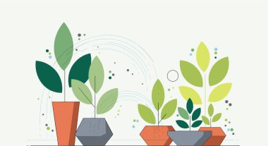 Indoor Plants: Elevating Home Decor with Serene Greenery Ideas