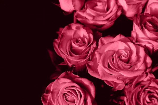 Bukiet Pięknych Róż Zbliżyć Ciemnym Tle Streszczenie Tła Dla Kart — Zdjęcie stockowe