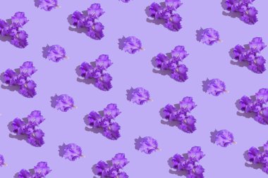 Creative composition made of beautiful iris flowers on violet background. Nature concept. Summer pattern in minimal style. Top view. Flat lay