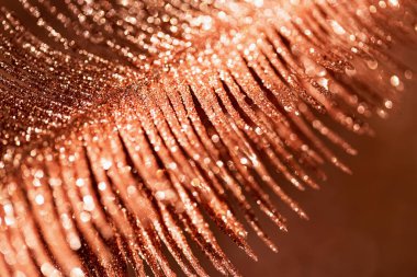 Dekoratif bir dalın yakın çekiminden oluşan soyut bir kompozisyon. Parlak bir şenlik ve tatil geçmişi. Kutlama ve parti konsepti.