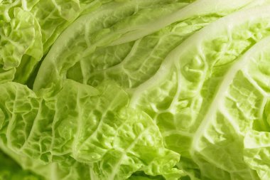 Yeşil Çin lahana yaprağının soyut dokusu.