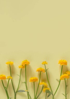 Pastel arka planda sarı düğün çiçekleri. Doğa konsepti. Üst Manzara. Düz yatıyordu