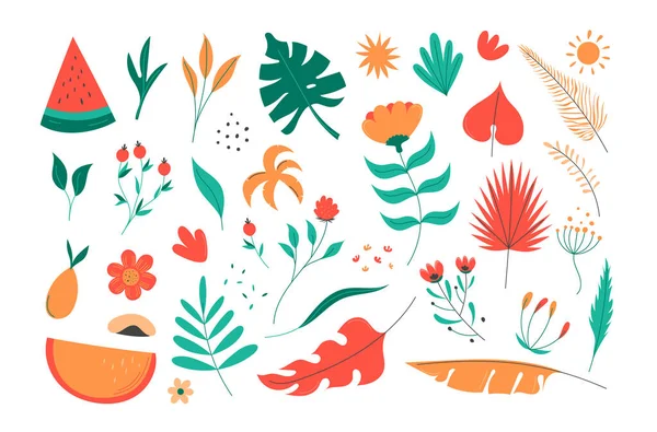 Рука Намальована Колекція Квітів Кунзонна Літня Весняна Ботанічна Плоска Векторна — стоковий вектор