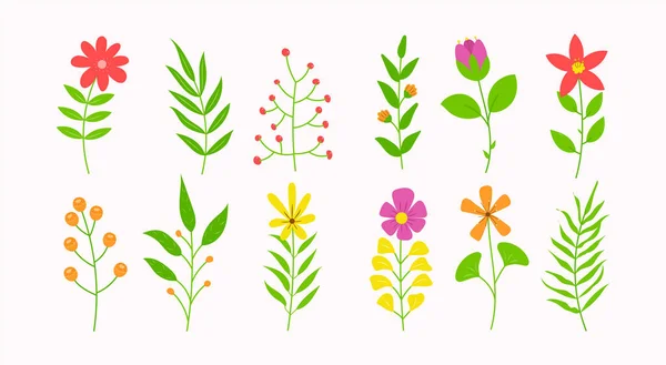 Collezione Set Fiori Piatti Semplice Illustrazione Floreale Foglie Botaniche Primaverili — Vettoriale Stock