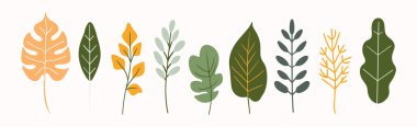 Ağaç ve yaprak koleksiyonu el çizimi düz tasarım elementi. Botanik çıplak ağaçlar ve yapraklı ve yemyeşil pastel renkli olanlar.