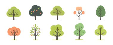 Ağaç ve yaprak koleksiyonu el çizimi düz tasarım vektör elementi. Botanik ağaç seti ve yapraklı ve yemyeşil olanlar.