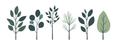 Ağaç ve yaprak koleksiyonu el çizimi düz tasarım vektör elementi. Botanik ağaç seti ve yapraklı ve yemyeşil olanlar.