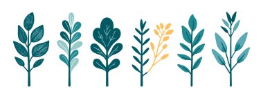 Ağaç ve yaprak koleksiyonu el çizimi düz tasarım vektör elementi. Botanik ağaç seti ve yapraklı ve yemyeşil olanlar.