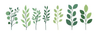 Ağaç ve yaprak koleksiyonu el çizimi düz tasarım vektör elementi. Botanik ağaç seti ve yapraklı ve yemyeşil olanlar.