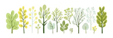 Ağaç ve yaprak koleksiyonu el çizimi düz tasarım vektör elementi. Botanik ağaç seti ve yapraklı ve yemyeşil olanlar.