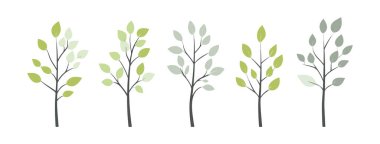 Ağaç ve yaprak koleksiyonu el çizimi düz tasarım vektör elementi. Botanik ağaç seti ve yapraklı ve yemyeşil olanlar.