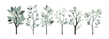 Ağaç ve yaprak koleksiyonu el çizimi düz tasarım vektör elementi. Botanik ağaç seti ve yapraklı ve yemyeşil olanlar.