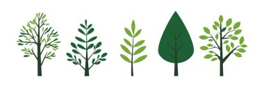 Ağaç ve yaprak koleksiyonu el çizimi düz tasarım vektör elementi. Botanik ağaç seti ve yapraklı ve yemyeşil olanlar.