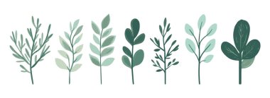 Ağaç ve yaprak koleksiyonu el çizimi düz tasarım vektör elementi. Botanik ağaç seti ve yapraklı ve yemyeşil olanlar.