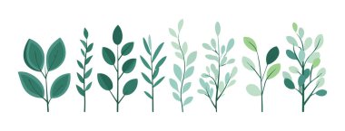 Ağaç ve yaprak koleksiyonu el çizimi düz tasarım vektör elementi. Botanik ağaç seti ve yapraklı ve yemyeşil olanlar.