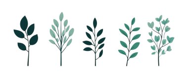 Ağaç ve yaprak koleksiyonu el çizimi düz tasarım vektör elementi. Botanik ağaç seti ve yapraklı ve yemyeşil olanlar.