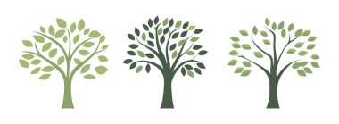 Ağaç ve yaprak koleksiyonu el çizimi düz tasarım vektör elementi. Botanik ağaç seti ve yapraklı ve yemyeşil olanlar.