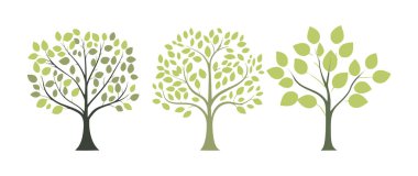 Ağaç ve yaprak koleksiyonu el çizimi düz tasarım vektör elementi. Botanik ağaç seti ve yapraklı ve yemyeşil olanlar.