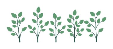 Ağaç ve yaprak koleksiyonu el çizimi düz tasarım vektör elementi. Botanik ağaç seti ve yapraklı ve yemyeşil olanlar.