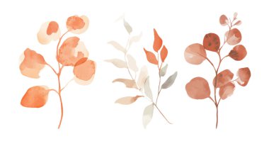 Suluboya yaprak koleksiyonu el yapımı tasarım vektör elementi. Düğün posteri tasarım elementi için botanik bitki örtüsü