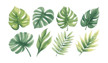 Suluboya yaprak koleksiyonu el yapımı tasarım vektör elementi. Düğün posteri tasarım elementi için botanik tropikal yaprak seti