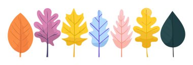 Ağaç ve yaprak koleksiyonu el çizimi düz tasarım vektör elementi. Botanik ağaç seti ve yapraklı ve yemyeşil olanlar.