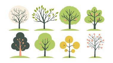 Ağaç ve yaprak koleksiyonu el çizimi düz tasarım vektör elementi. Botanik ağaç seti ve yapraklı ve yemyeşil olanlar.