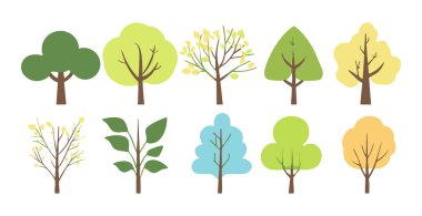 Ağaç ve yaprak koleksiyonu el çizimi düz tasarım vektör elementi. Botanik ağaç seti ve yapraklı ve yemyeşil olanlar.