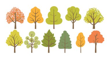 Ağaç ve yaprak koleksiyonu el çizimi düz tasarım vektör elementi. Botanik ağaç seti ve yapraklı ve yemyeşil olanlar.