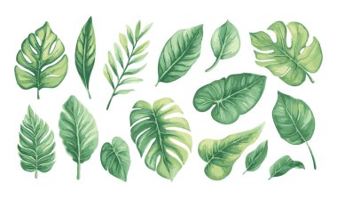 Suluboya yaprak koleksiyonu el yapımı tasarım vektör elementi. Düğün posteri tasarım elementi için botanik tropikal yaprak seti