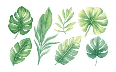 Suluboya yaprak koleksiyonu el yapımı tasarım vektör elementi. Düğün posteri tasarım elementi için botanik tropikal yaprak seti