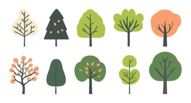 Ağaç ve yaprak koleksiyonu el çizimi düz tasarım vektör elementi. Botanik ağaç seti ve yapraklı ve yemyeşil olanlar.