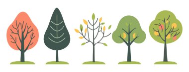 Ağaç ve yaprak koleksiyonu el çizimi düz tasarım vektör elementi. Botanik ağaç seti ve yapraklı ve yemyeşil olanlar.