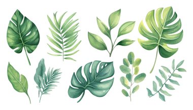 Suluboya yaprak koleksiyonu el yapımı tasarım vektör elementi. Düğün posteri tasarım elementi için botanik tropikal yaprak seti