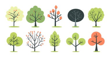 Ağaç ve yaprak koleksiyonu el çizimi düz tasarım vektör elementi. Botanik ağaç seti ve yapraklı ve yemyeşil olanlar.