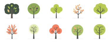 Ağaç ve yaprak koleksiyonu el çizimi düz tasarım vektör elementi. Botanik ağaç seti ve yapraklı ve yemyeşil olanlar.