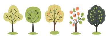 Ağaç ve yaprak koleksiyonu el çizimi düz tasarım vektör elementi. Botanik ağaç seti ve yapraklı ve yemyeşil olanlar.