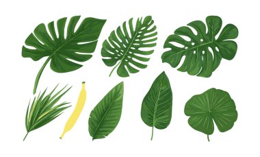 Düz stil yaprak koleksiyonu el yapımı tasarım vektörü. Düğün posteri tasarım elementi için botanik bitki örtüsü