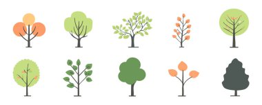 Ağaç ve yaprak koleksiyonu el çizimi düz tasarım vektör elementi. Botanik ağaç seti ve yapraklı ve yemyeşil olanlar.